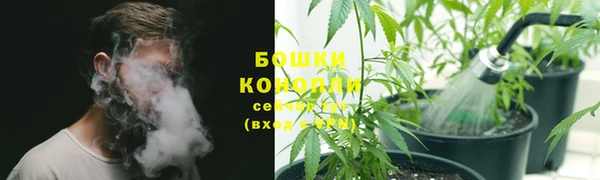 дмт Балабаново