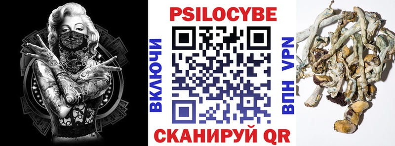 Галлюциногенные грибы Psilocybine cubensis  Злынка 